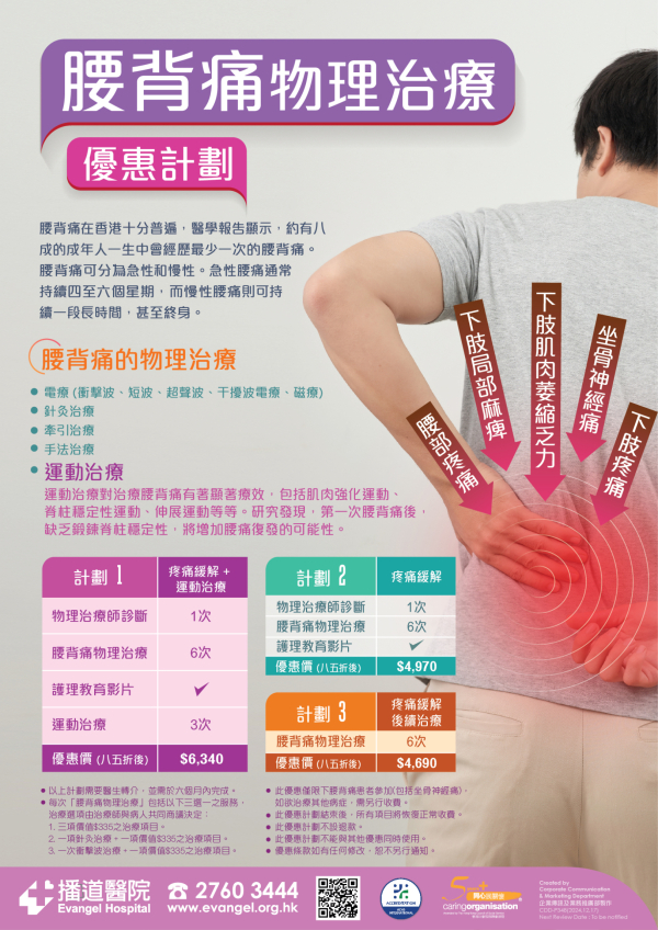 Low Back Pain Program (Physiotherapy)