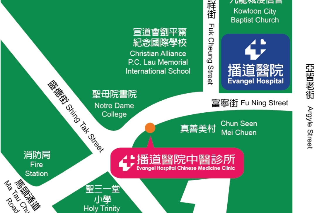 香港九龍城富寧街真善美村至真樓地下45號舖地圖